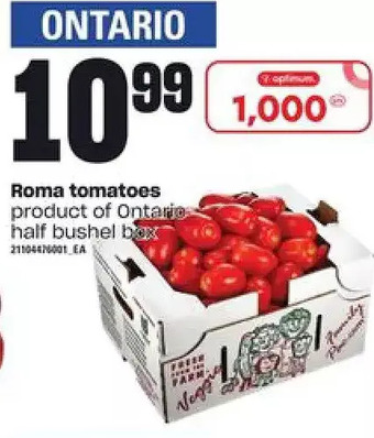 Loblaws Roma tomatoes offer