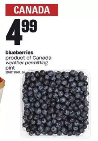 Loblaws Blueberries offer