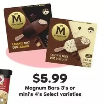 Fortinos Magnum bars or mini's offer