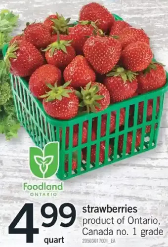Fortinos Strawberries offer