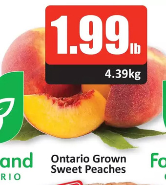 Starsky Ontario grown sweet peaches offer