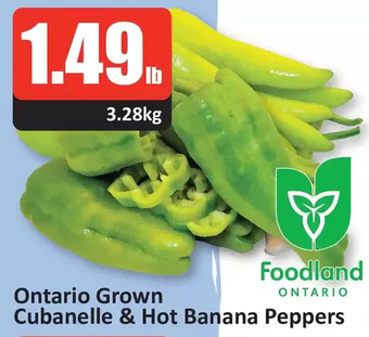 Starsky Ontario grown cubanelle & hot banana peppers offer