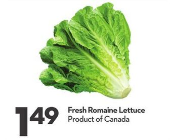 Longo's Fresh romaine lettuce offer