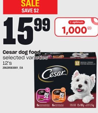 Independent City Market Cesar dog food, 12's offer