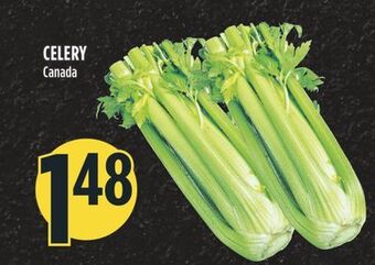 Marché Adonis Celery offer