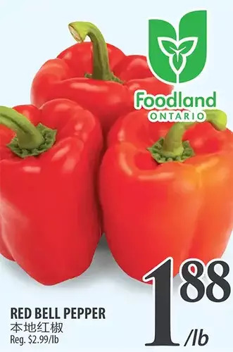 Red bell pepper