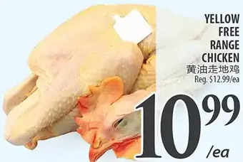 Al Premium Food Mart Yellow free range chicken offer