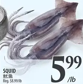 Al Premium Food Mart Squid offer