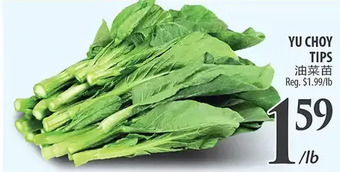 Al Premium Food Mart Yu choy tips offer