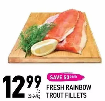 Fresh rainbow trout fillets