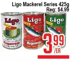 Ligo mackerel series