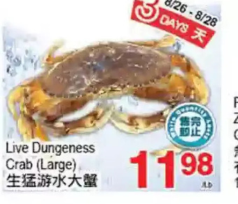 T&T Supermarket Live dungeness crab (large) offer