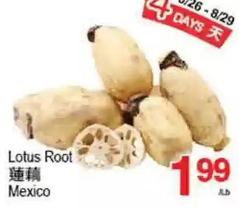 T&T Supermarket Lotus root offer