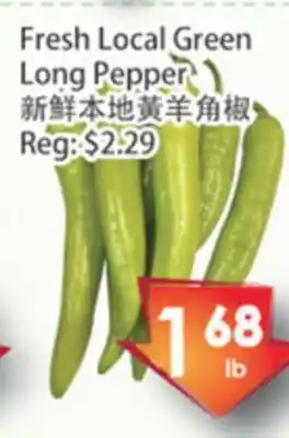 Fresh Palace Supermarket Fresh local green long pepper offer