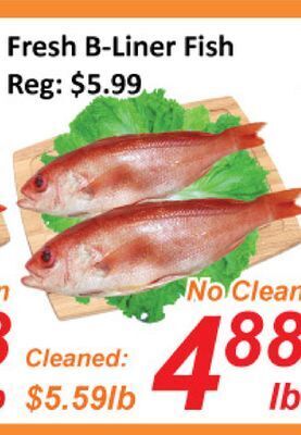 Seasons Foodmart Fresh b-liner fish offer