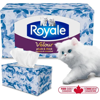 Walmart Royale velour 3-ply facial tissue offer