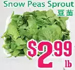 Grant's Foodmart Snow peas sprout offer