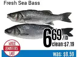 Nations Fresh Foods Fresh sea bass offer