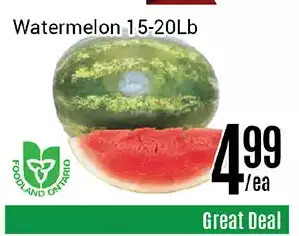 Nations Fresh Foods Watermelon offer
