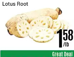 Nations Fresh Foods Lotus root offer