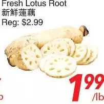 Foody World Fresh lotus root offer
