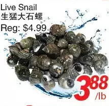 Foody World Live snail offer