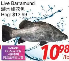 Foody World Live barramundi offer