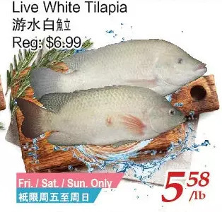 Tone Tai Supermarket Live white tilapia offer