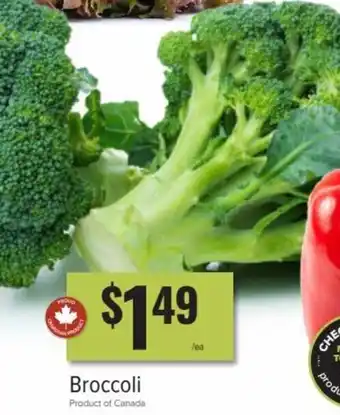 Broccoli