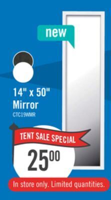 The Brick 14" x 50" mirror offer