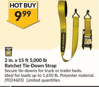 Princess Auto 2 in. x 15 ft 5, 000 lb ratchet tie-down strap offer