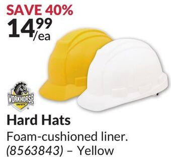 Princess Auto Hard hats offer