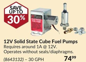 Princess Auto 12v solid state cube fuel pumps offer