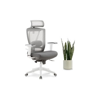 Best Buy Aerychair - fully adjustable ergonomic mesh office chair with 4d armrest & lumbar support (white) offer