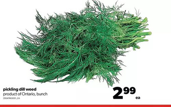 Real Canadian Superstore Pickling dill weed offer