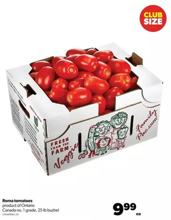 Real Canadian Superstore Roma tomatoes offer
