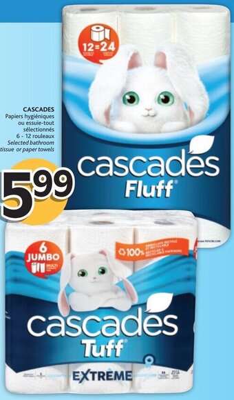 Brunet Cascades offer