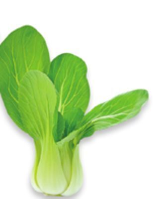 Walmart Shanghai bok choy offer