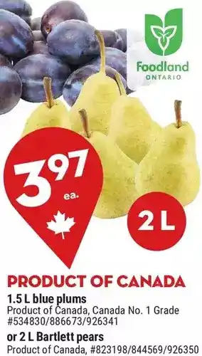 Giant Tiger 1.5 l blue plums offer