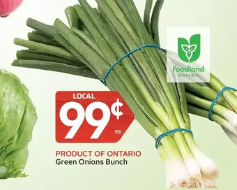 Foodland Green onions bunch offer