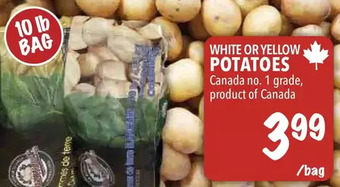 Farm Boy White or yellow potatoes offer