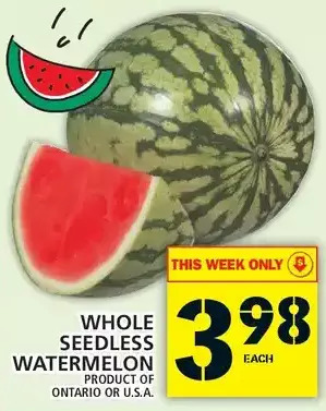 Food Basics Whole seedless watermelon offer