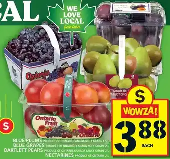 Food Basics Blue plums | blue grapes | bartlett pears | nectarines offer