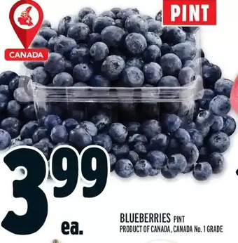 Metro Blueberries offer