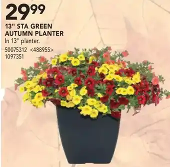 RONA 13" sta green autumn planter offer