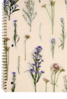 Staples Hilroy dried botanical branch notebook offer