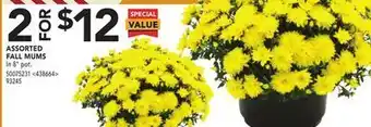Lowe's Assorted fall mums offer