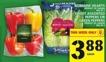 Food Basics Romaine hearts offer