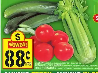 Food Basics Celery or seedless cucumbers or field tomatoes offer