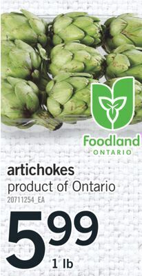 Fortinos Artichokes, 1 lb offer